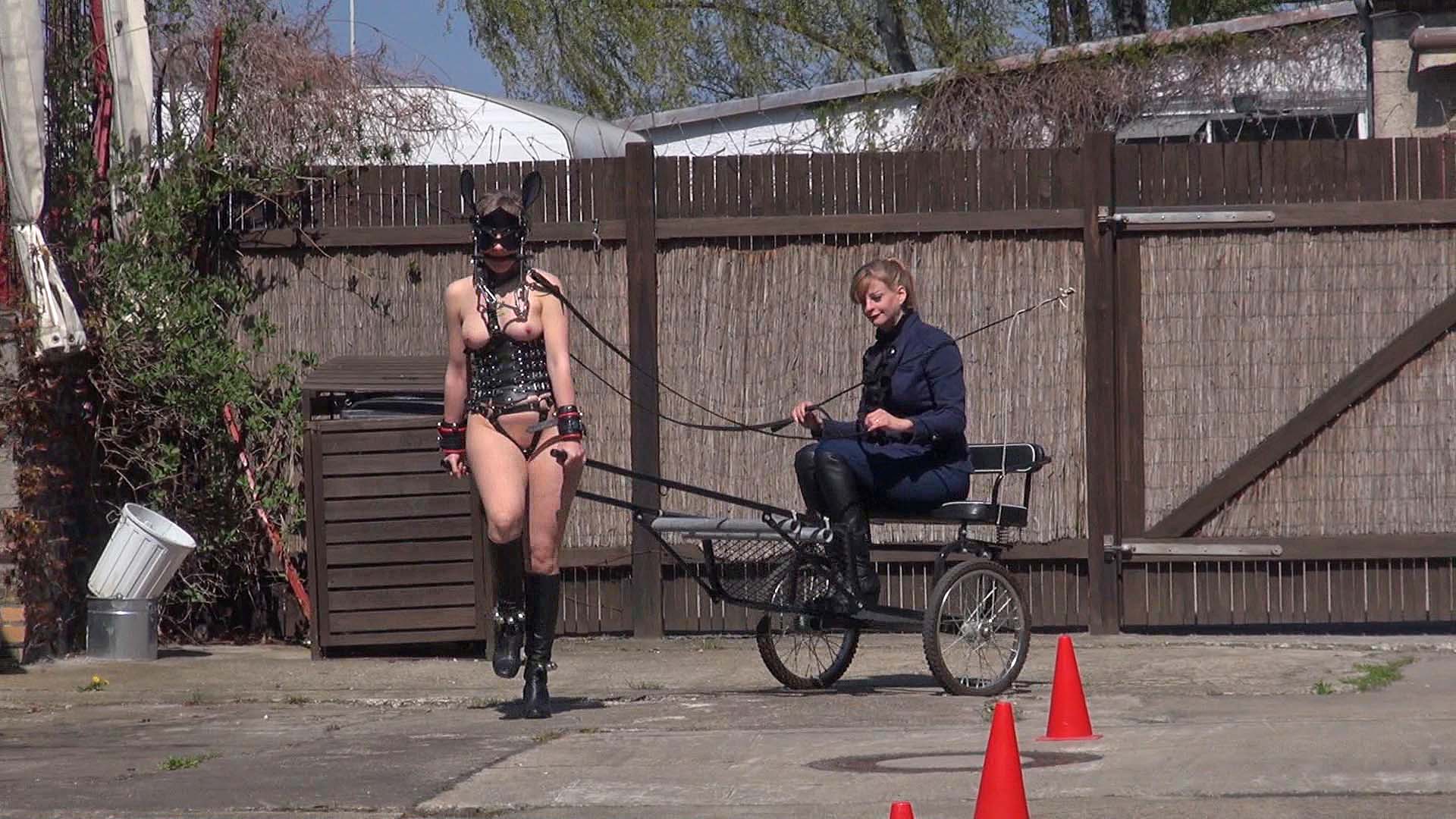 Ponygirl 3 - Preparation for a ride! 